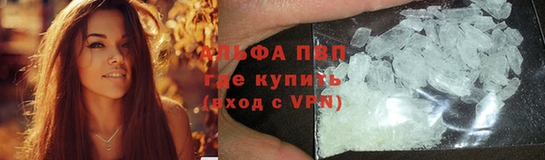 шишки Михайловск