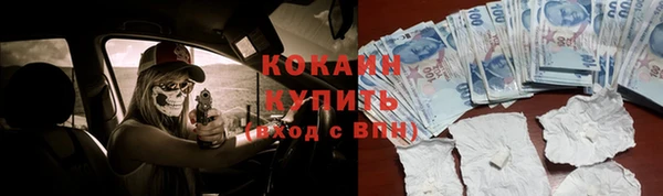 шишки Михайловск