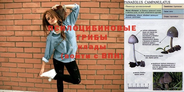 прущий лед Абдулино