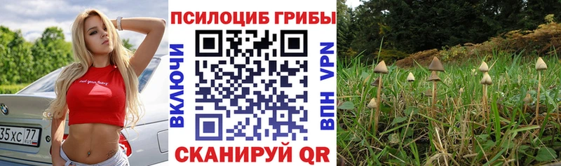 Галлюциногенные грибы прущие грибы  купить наркотик  Хадыженск 